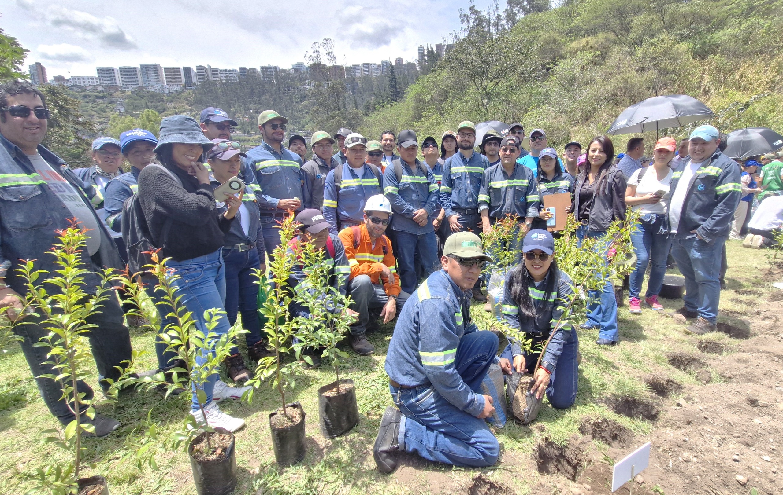 Siembra de árbol apadrinado por la EEQ en el parque de Guápulo